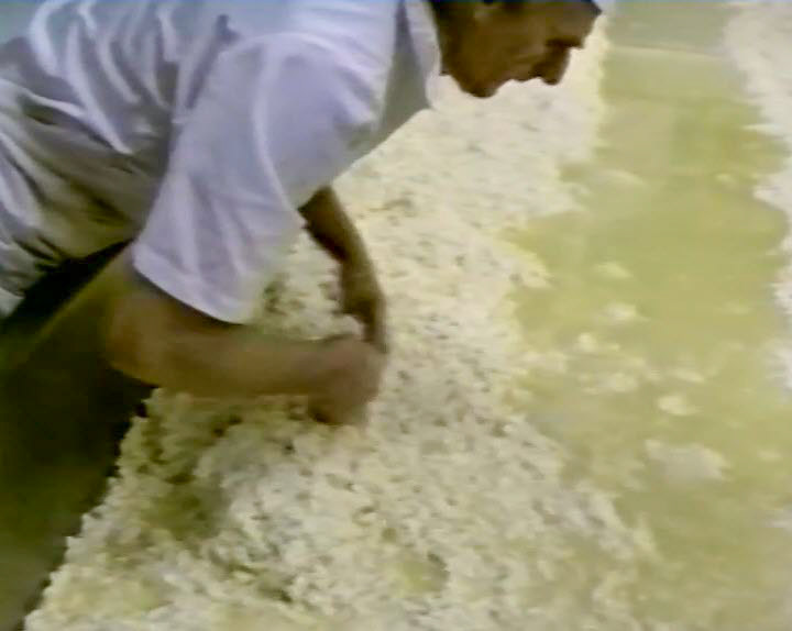 1989 Reece's Creamery-Cheshire Cheese Production-Once the correct acidity is reached, the curds and whey are transferred to coolers (draining tables)