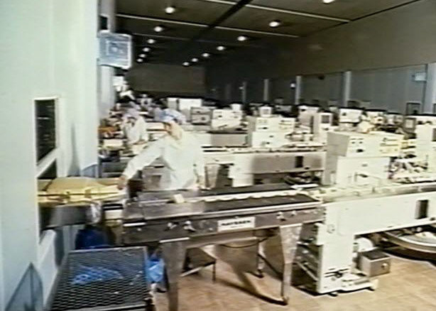 1991 Oswestry (Corporate Video)