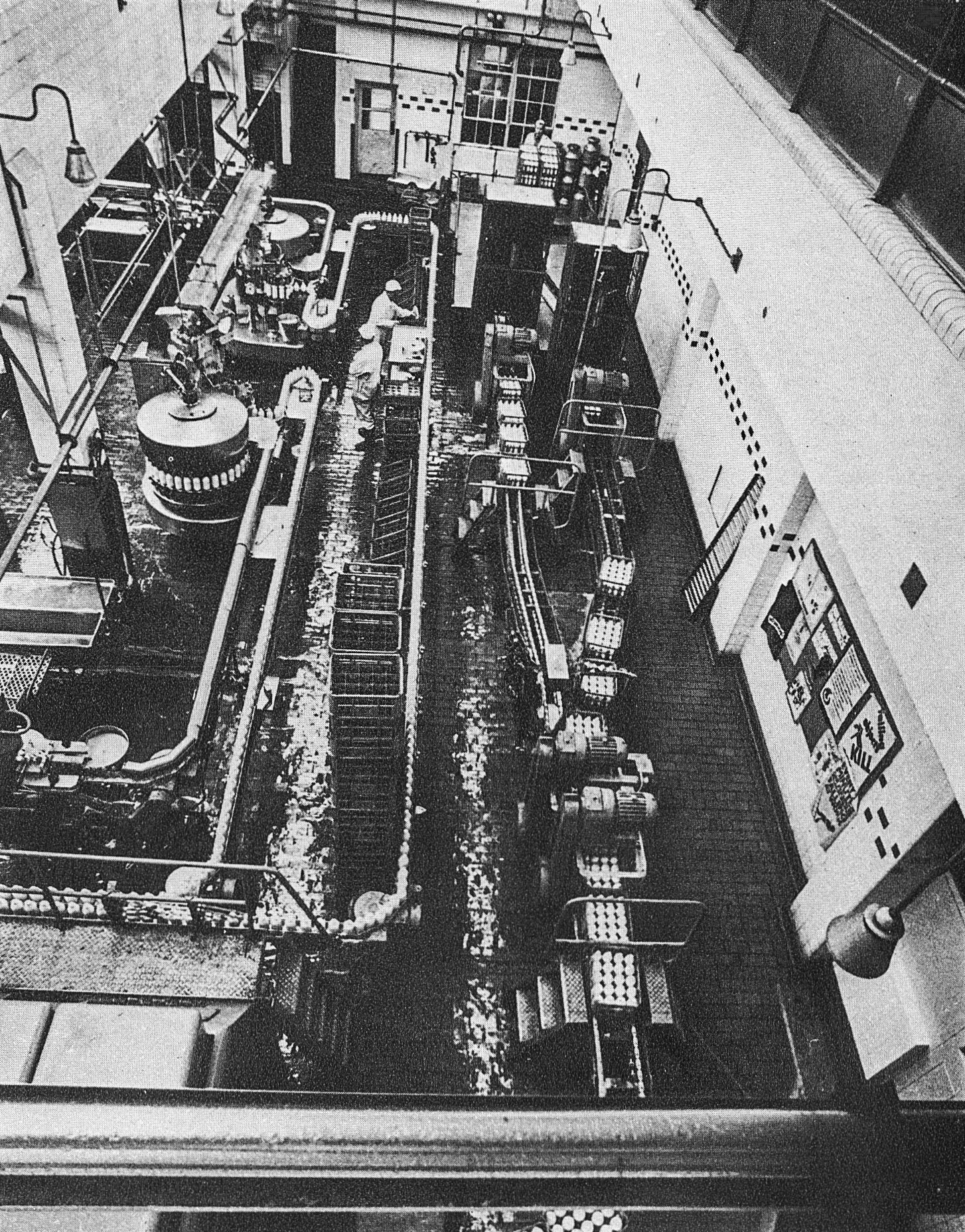 1979 Bromley Processing bottling line from above. (Express News Summer)