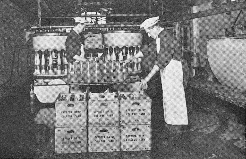 1920 College Farm. Mr Nell, just back from the trenches, installed this American bottling machine — a Davis-Watkins — one of the first in the country and manufactured under licence by Arthur G. Enoch. (1960 Picture Set from Express News Christmas edition)