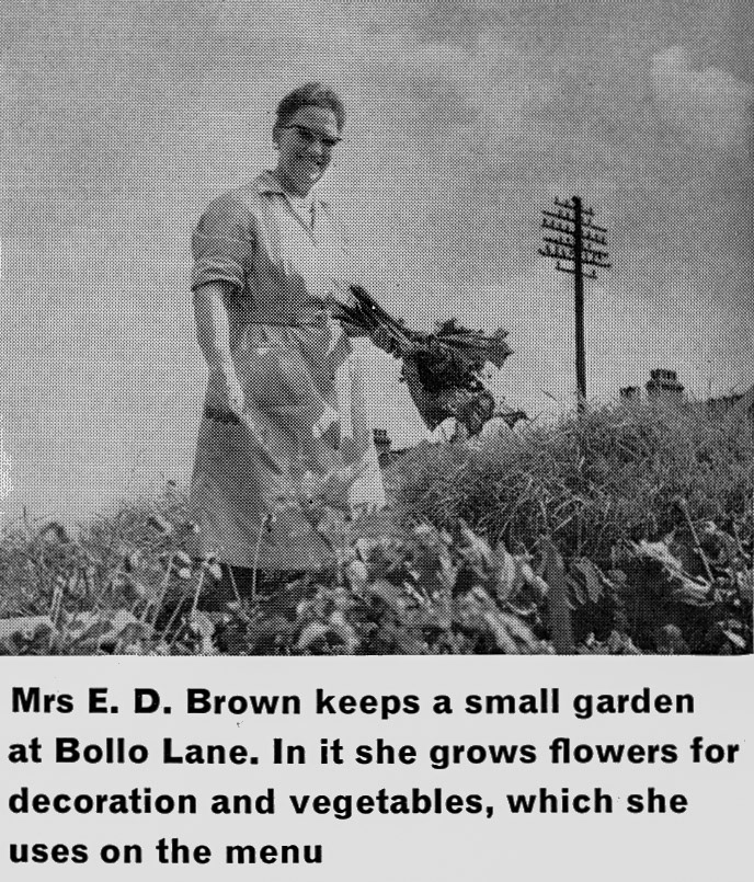 1963 Bollo Lane Manageress Mrs E.D. Brown, from Staff Canteen Feature (Express News Autumn)