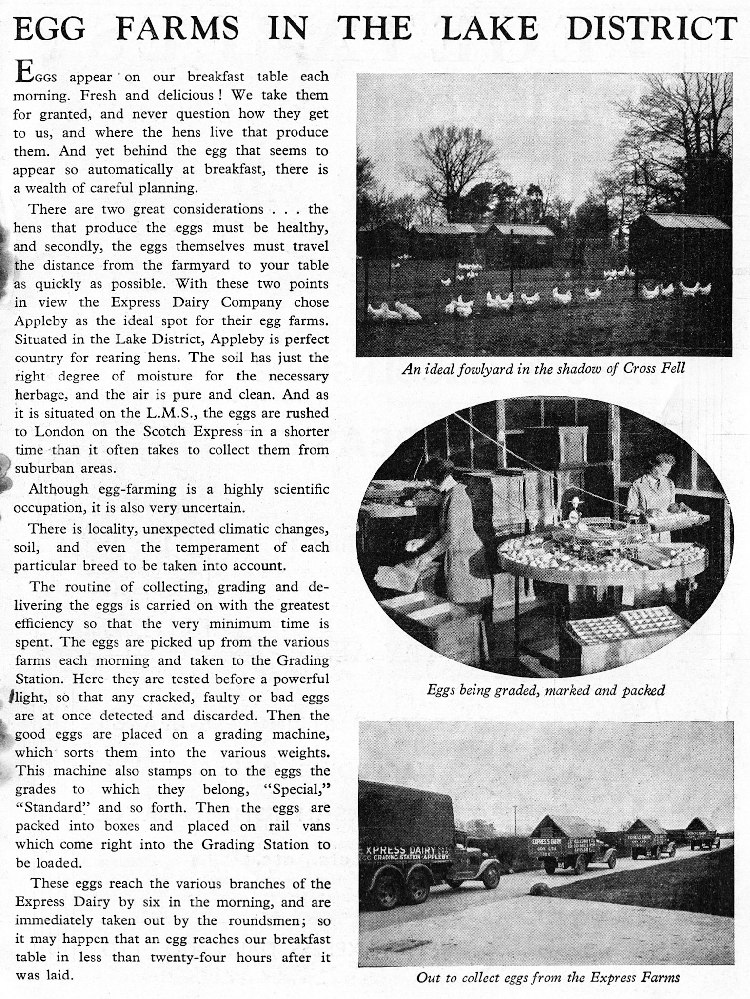 1934 May-Dairymaid Magazine 35 (Courtesy Paul Smith)