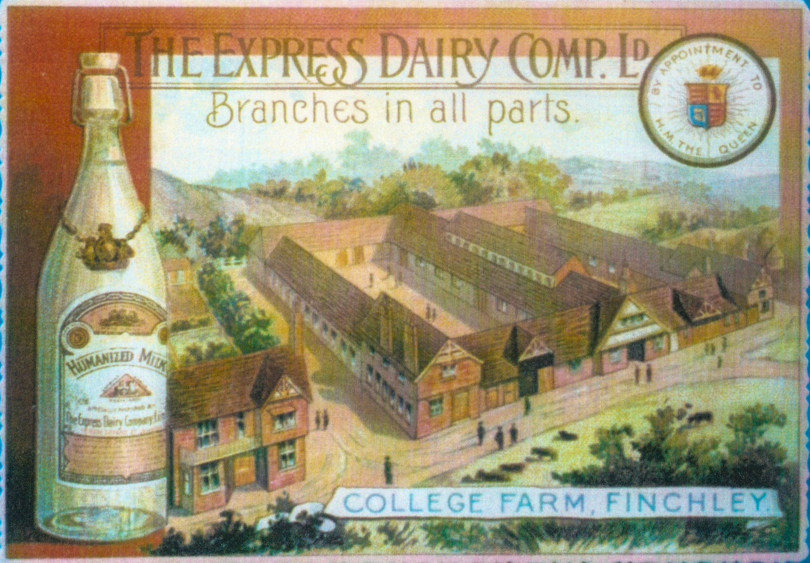 (Courtesy Paul Luke)