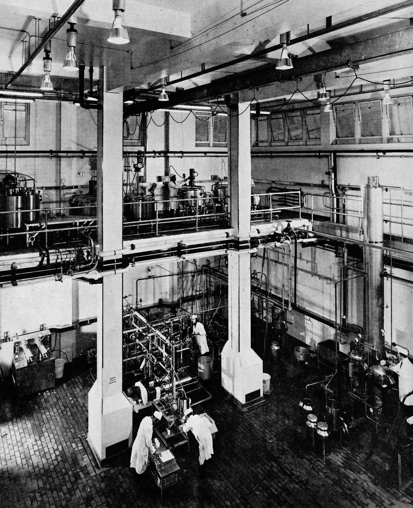 1973 South Ruislip Pilot Plant in the Research and Development Dept under Dr Bert Deutsch