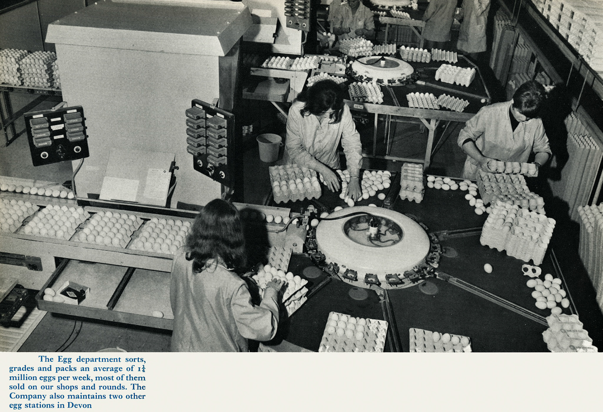 1969 Honiton Creamery Egg Department. (Express News Christmas)