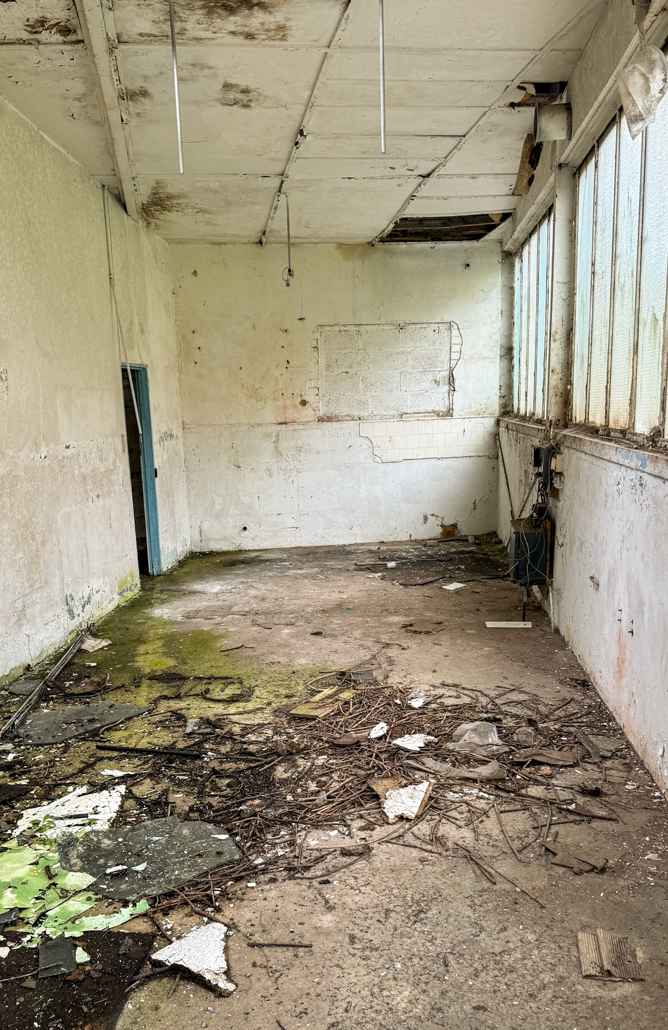 2024 Seaton Junction Site visit - 16