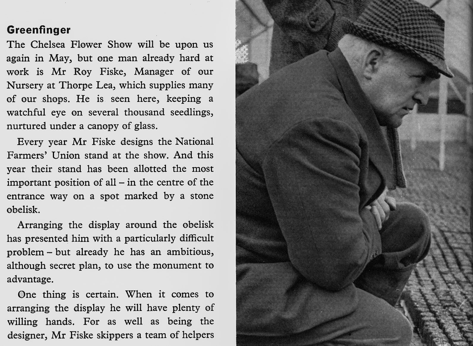 1965 Roy Fiske, manager of Thorpe Lea Nursery, Egham. (Express News Spring)