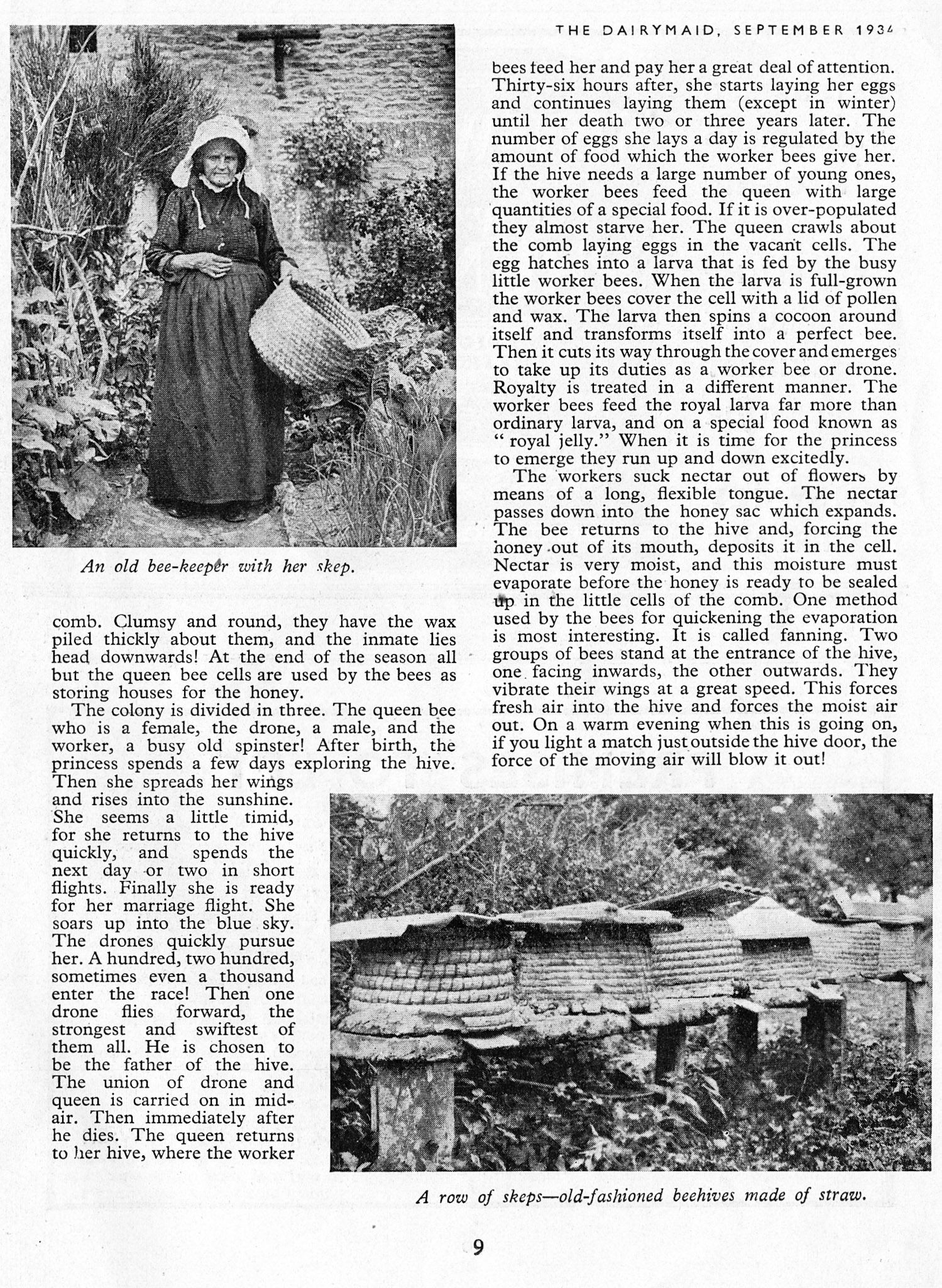 1934 September-Dairymaid Magazine 39 (Express Dairy Tales Archive)