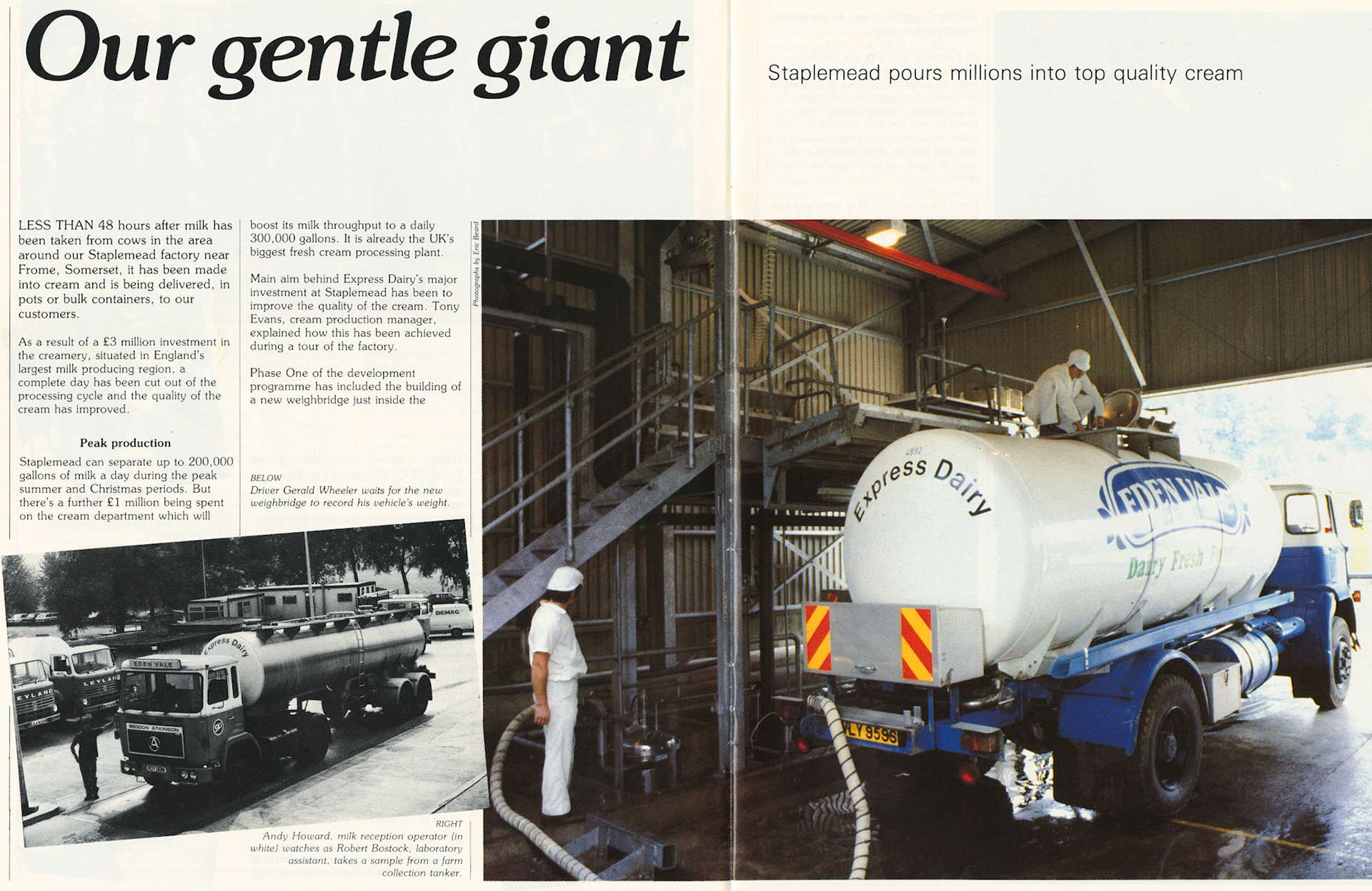 1983 Staplemead investment in cream plant