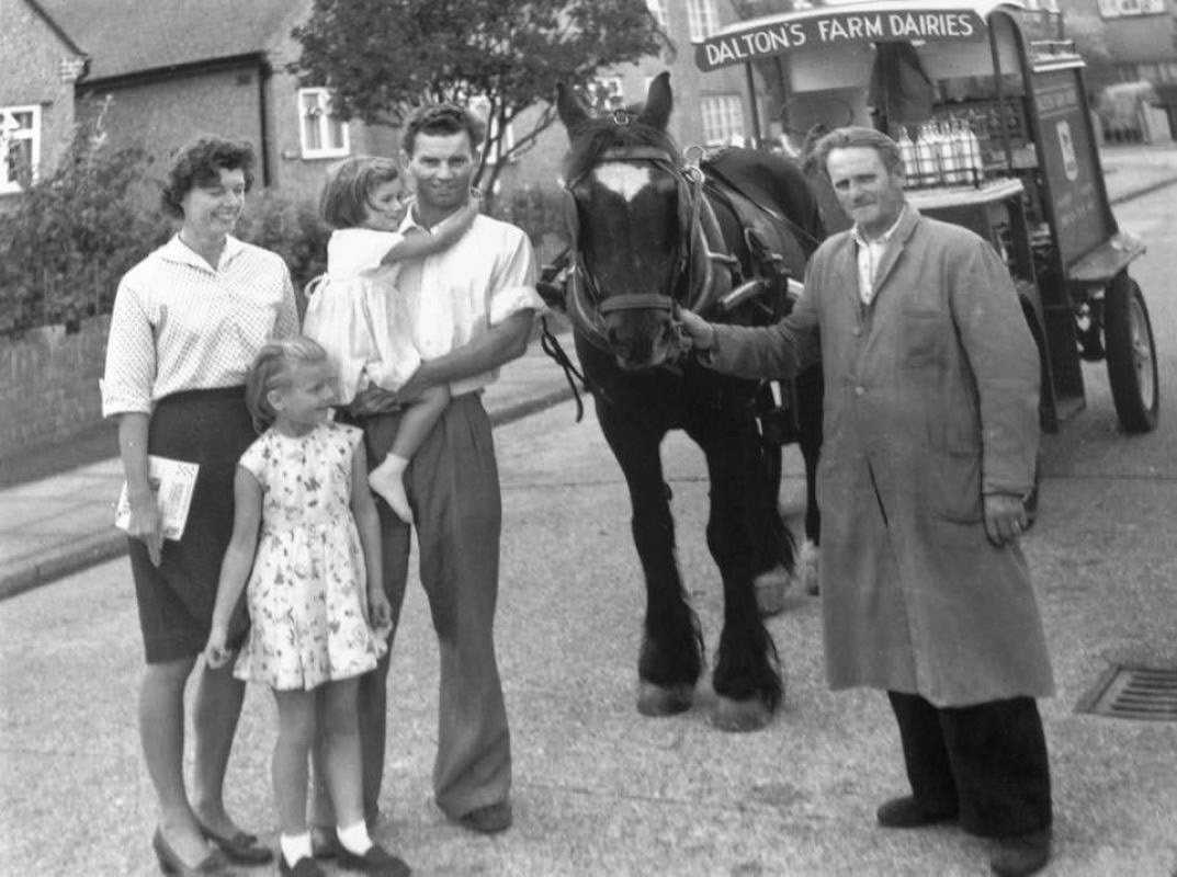 1960s? Dalton's Dairies, Hillingdon.