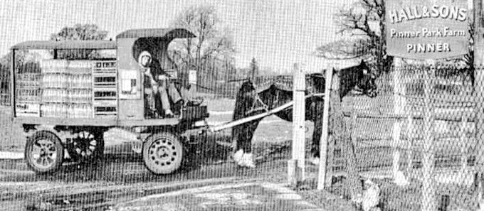 Hall and Sons, Pinner (Courtesy Richard Gaylard)