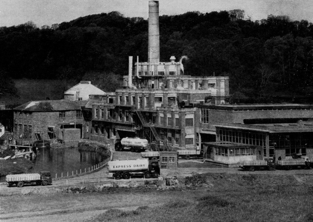 1962 Staplemead Creamery, employed 140 staff. (Express News Christmas)