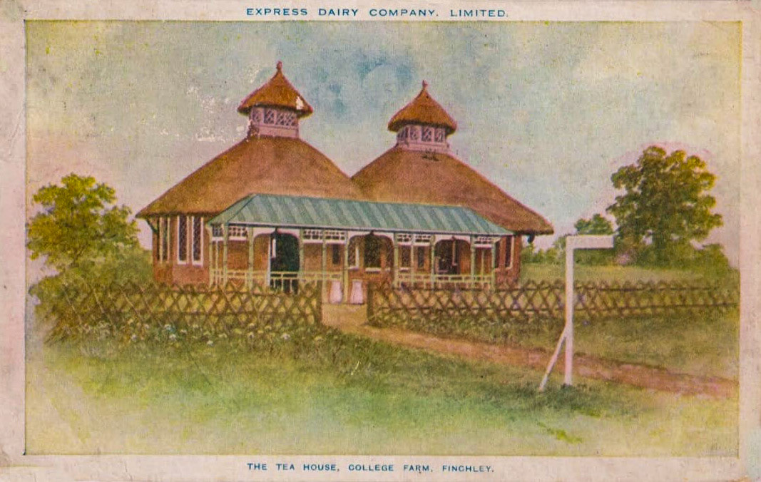 1912 The Tea Rooms at College Farm. Kevin Friend comments "By the 1900's the Company believed that the farm was not viable as a real, working farm; in 1909 it was decided to adapt it to become a visitor attraction, buying out the lease on the property of the farm buildings, and retaining a few of the adjacent fields from the original estate. By the 1930's the residue of the farm was surrounded by houses, and was open to the public, with tea rooms and an exhibition of objects related to the dairy industry. In 1973 Express Dairies left the site, and the dairy museum was broken up. The most important function of College Farm was as a public relations exercise and shop window for the whole dairy industry; it was conceived long before the phrase ‘public relations’ had been invented. Its contribution to London’s milk supply had been quite small in quantity but it’s importance was great: as a showplace of all that was newest and best in dairy livestock and equipment." (Courtesy Kevin Friend, FINCHLEY - A TRIP DOWN MEMORY LANE FB Group)