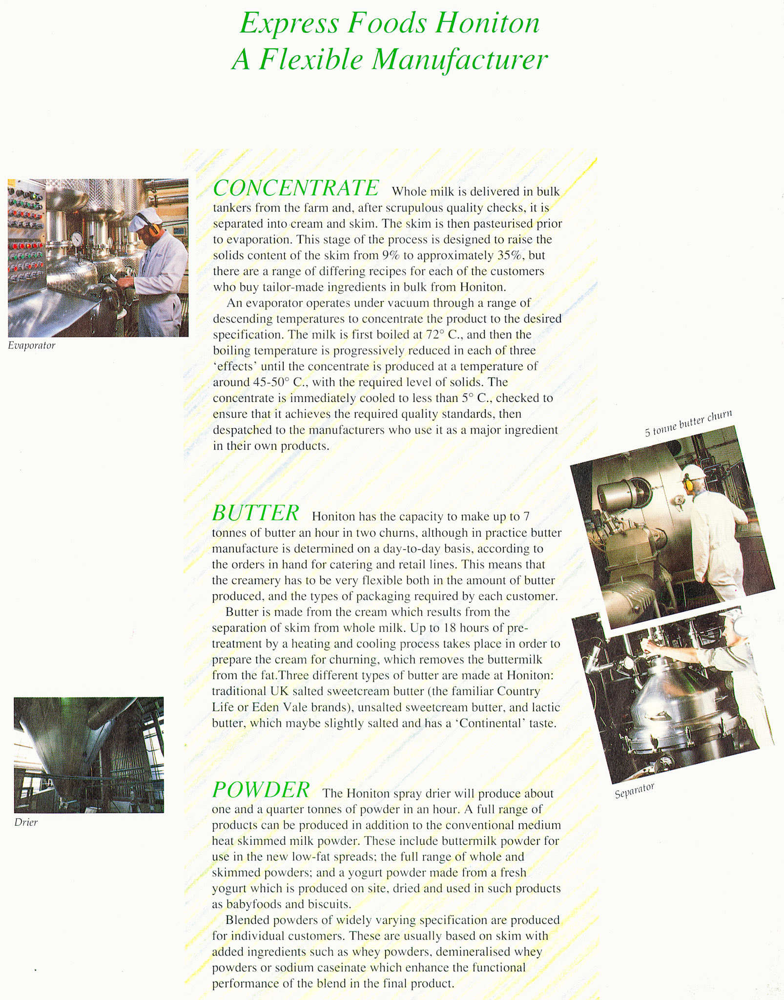 1990 Honiton Introductory Leaflet. (Courtesy Soo Rose-Cook)