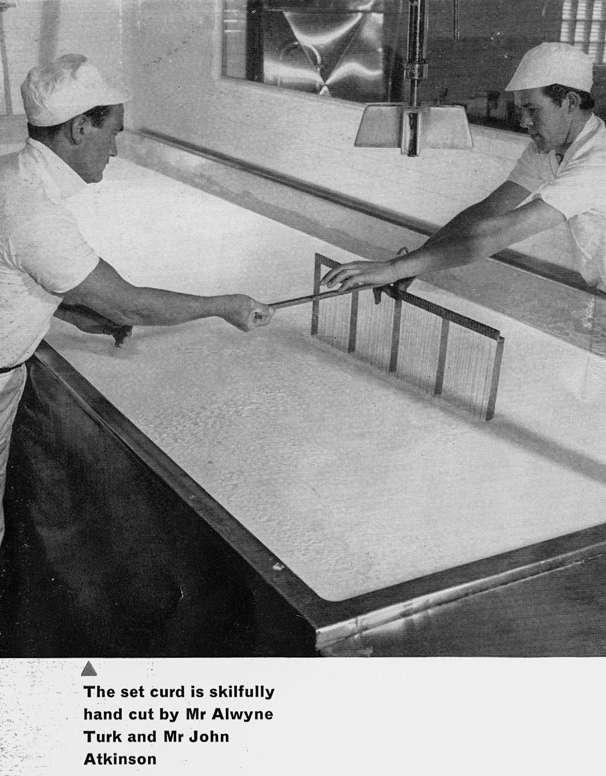 1963 Staplemead-extract from feature article-Mr Alwyne Turk and Mr John Atkinson cutting the curd. (Express News Autumn)
