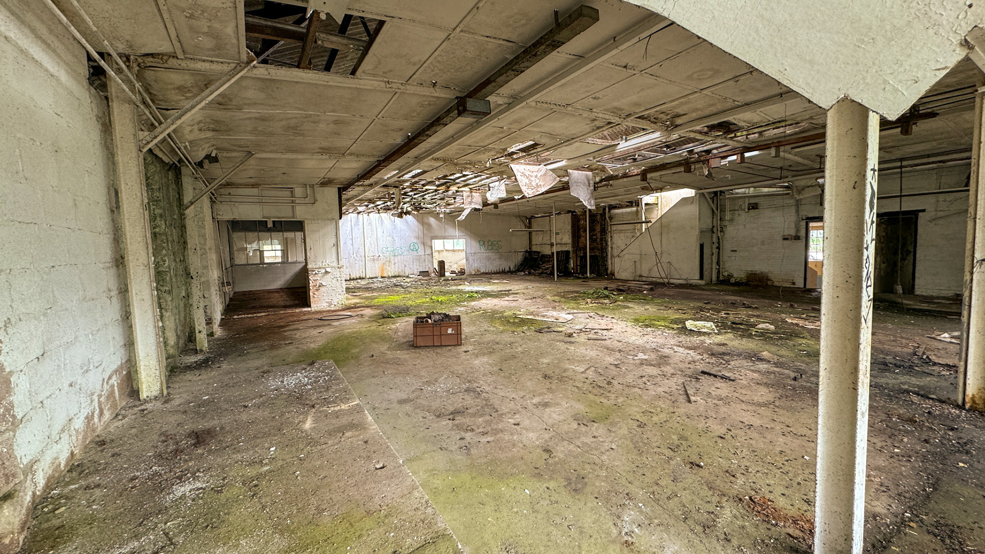 2024 Seaton Junction Site visit - 05