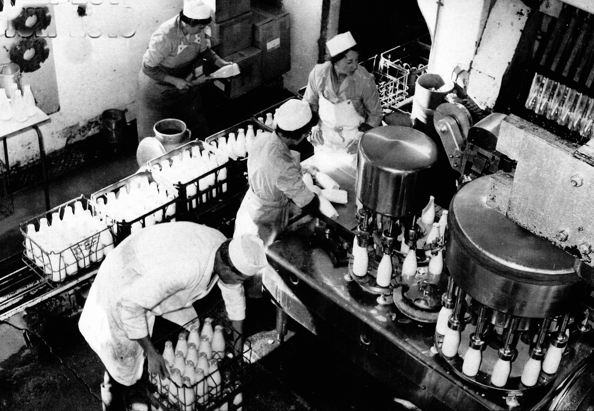 1957 Cotteswold Dairy - Dot Sircombe, Dolly Franklin, Di Hopton and Fred Jones on the bottling line. (Courtesy Dave Fane)