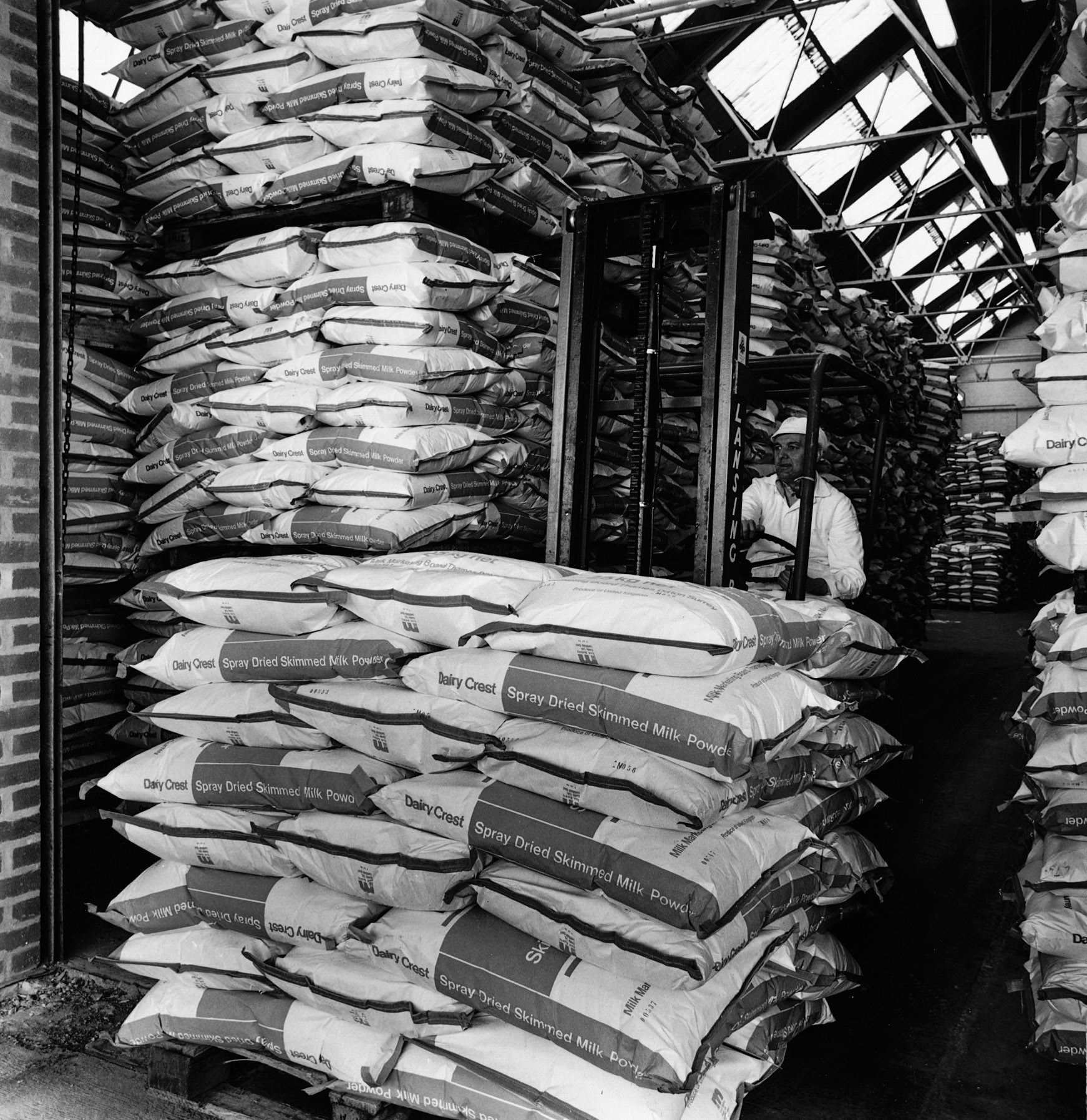 1976 MMB Creamery Maelor "Spray dried skimmed milk powder is packed in 25kg sealed bags and stored ready for sale".  (Courtesy Paul Smith)