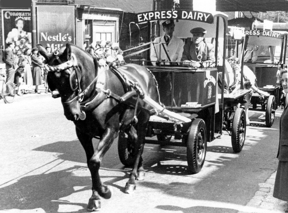 1953, the top of Highgate Road in North London. Roger comments "Probably a parade that was part of the local celebrations for the Queen's Coronation. The milk floats and the smartly turned out horses pulling them would have come from the Vicarage Farm depot, not far away in Kentish Town Road. (Courtesy Roger Frost)