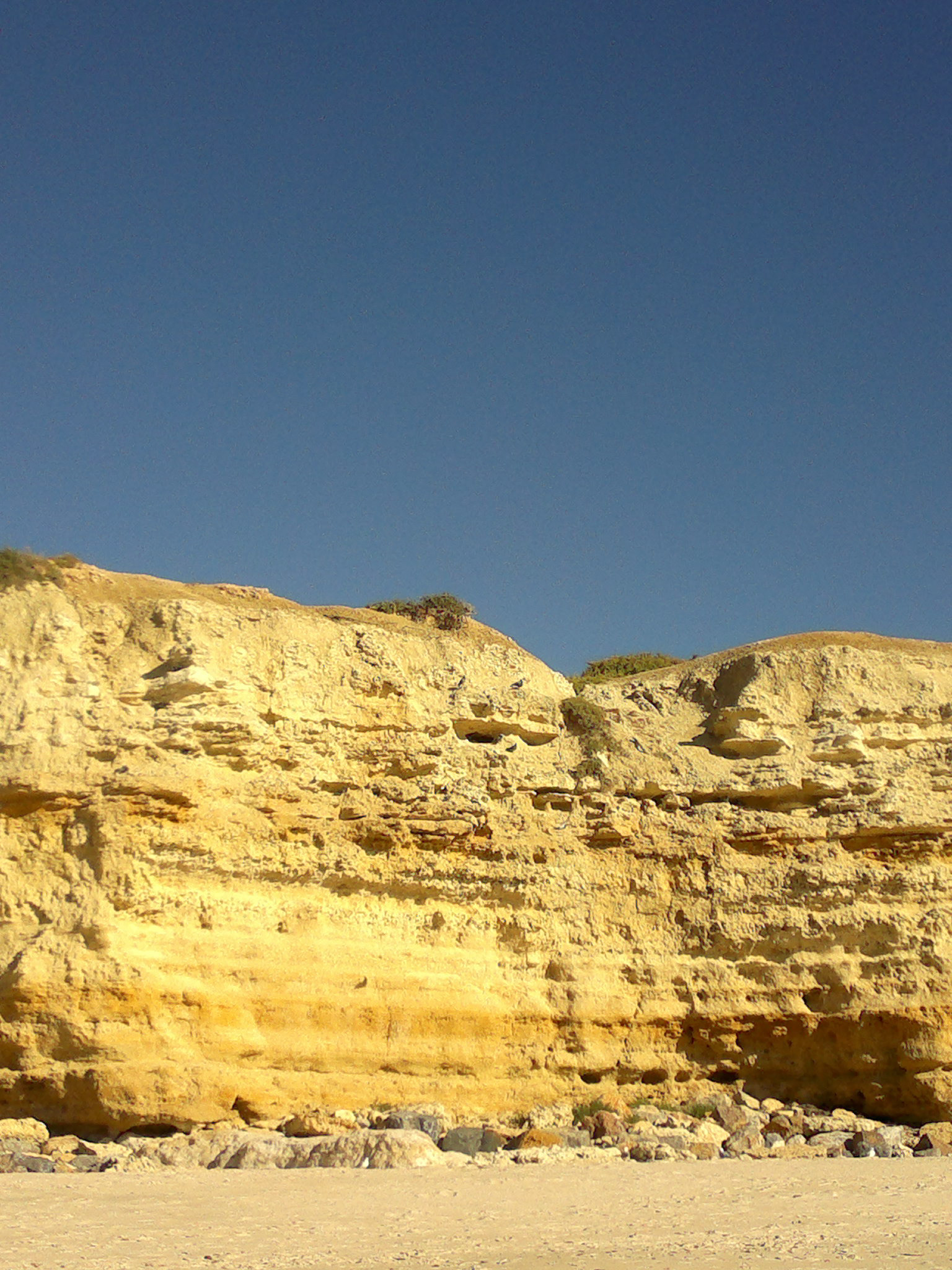 Beach Cliffs