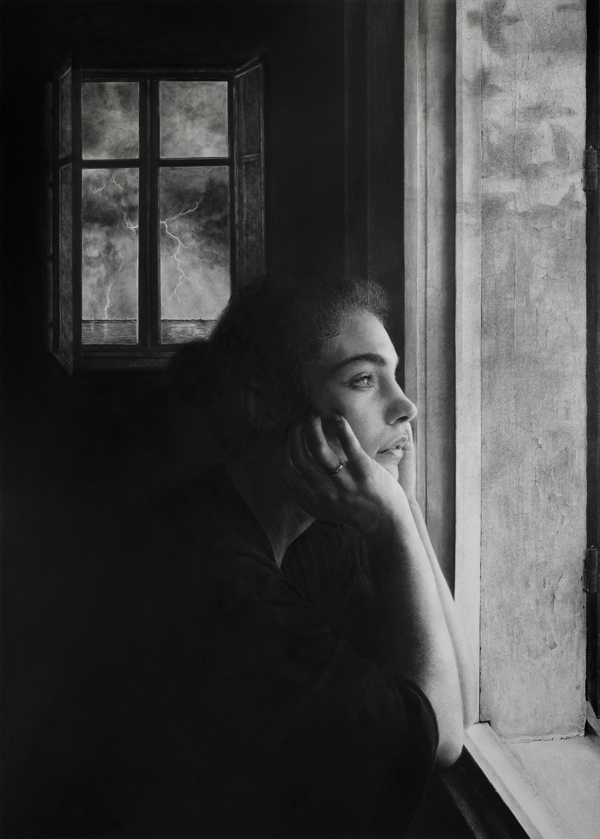 Ce qui cohexiste en nous / What coexists in us, 2024 graphite, fusain, pierre noire sur papier 70 x 50 cm, encadrement 80 x 60 cm encadrement sur-mesure bois et verre musée