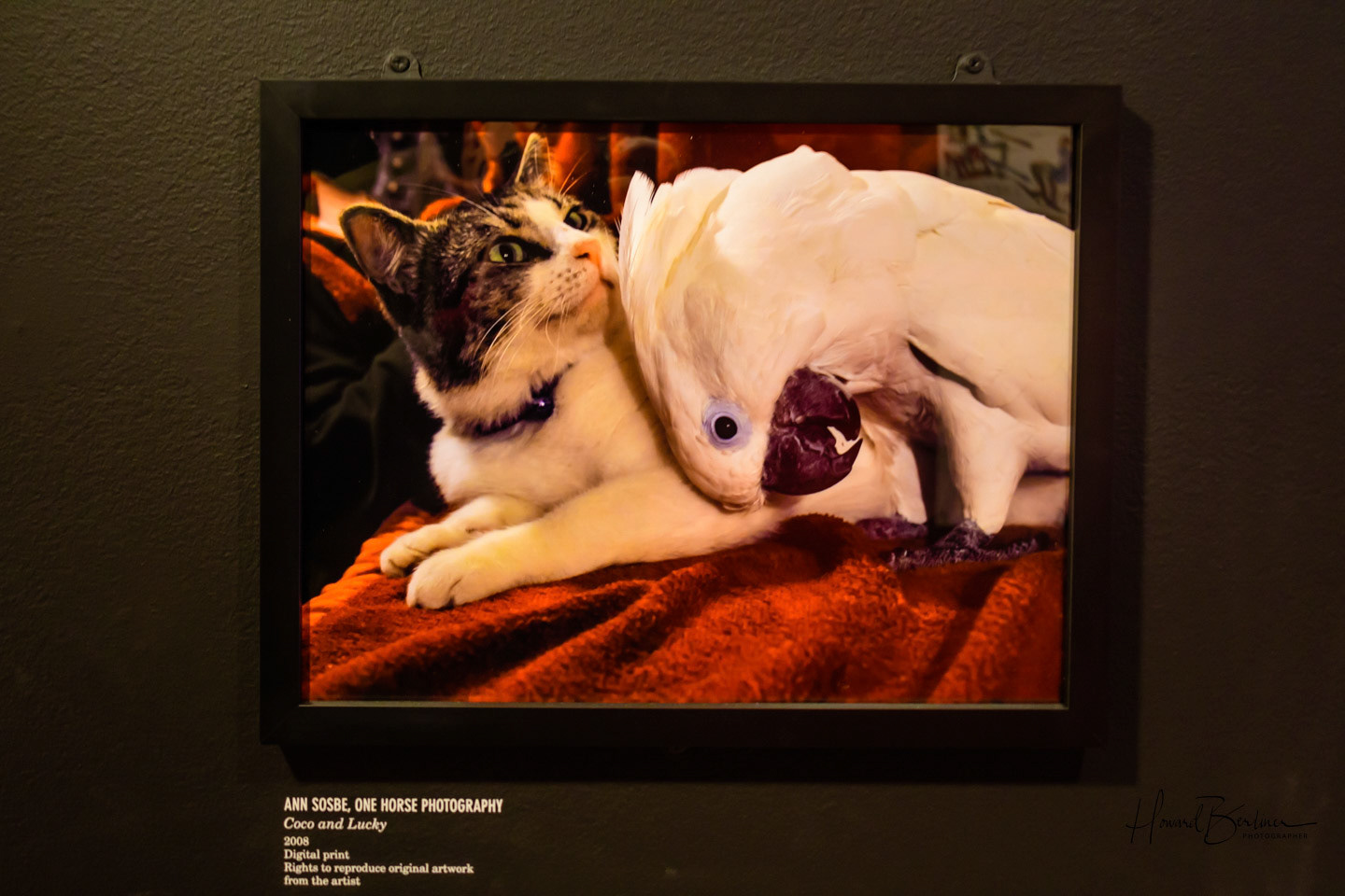 Baltimore Visionary Arts Museum