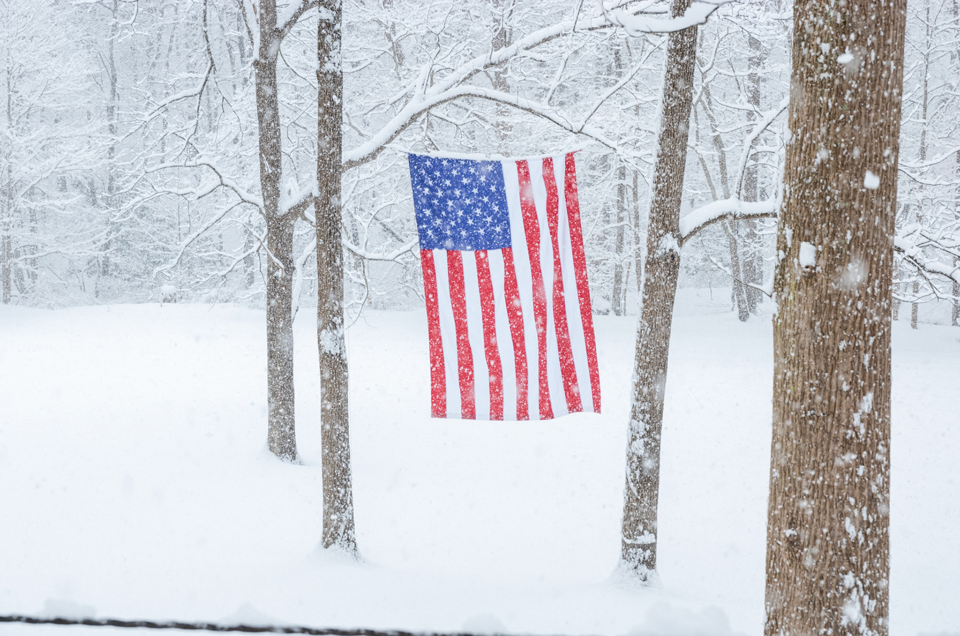 Flag in the snow