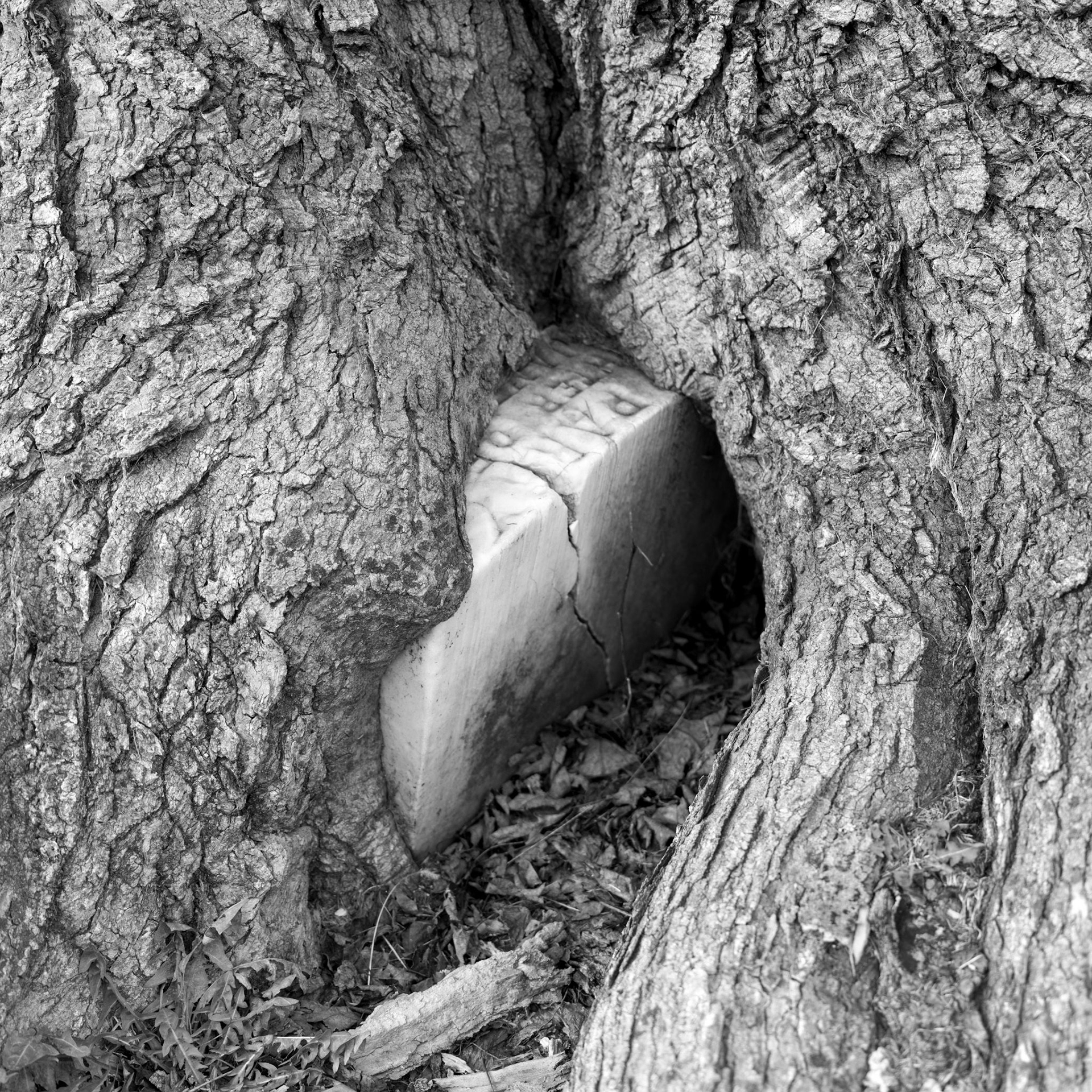 Quaker Grave Yard, Pennsylvania