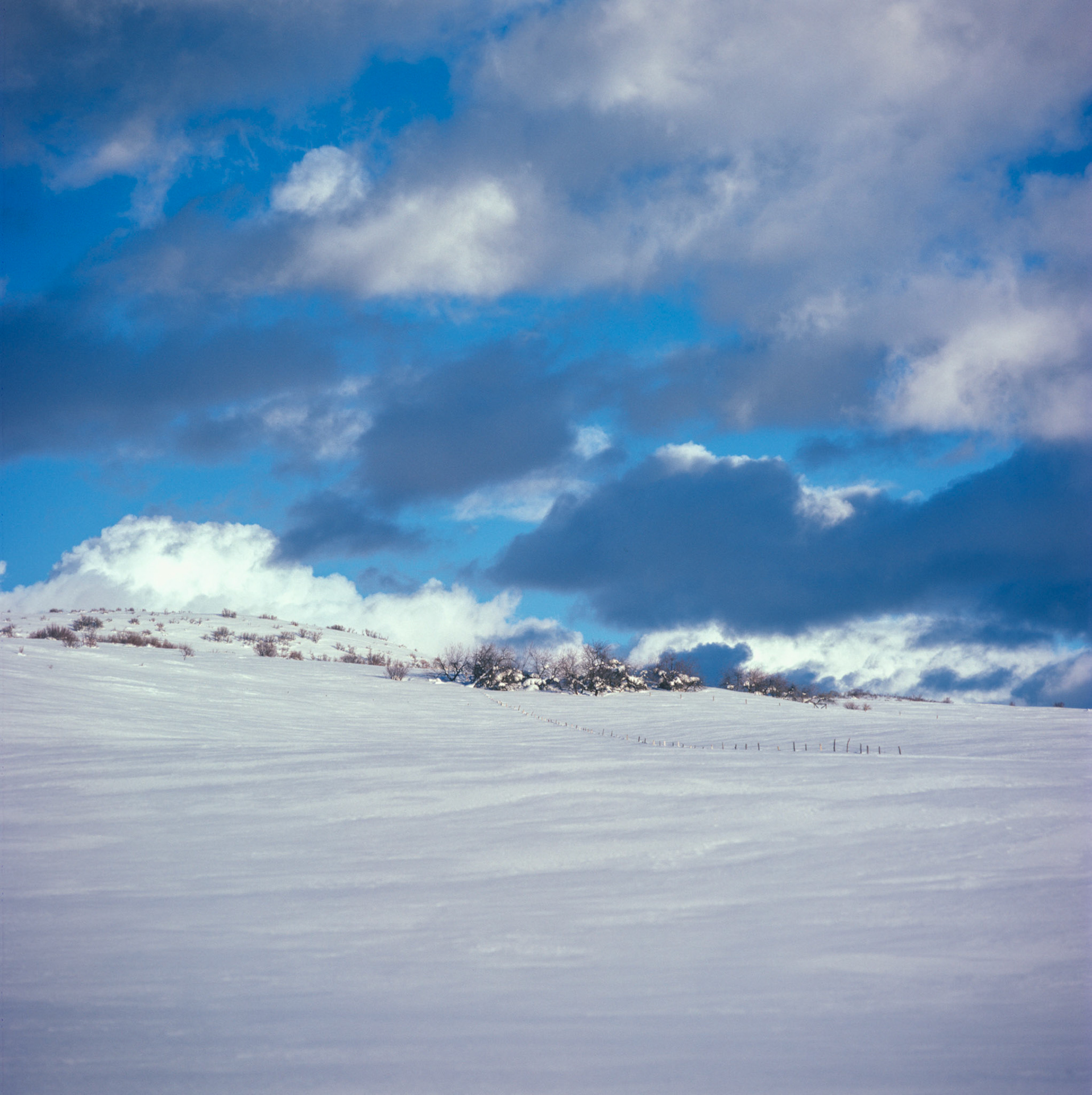 Near Clark, CO
