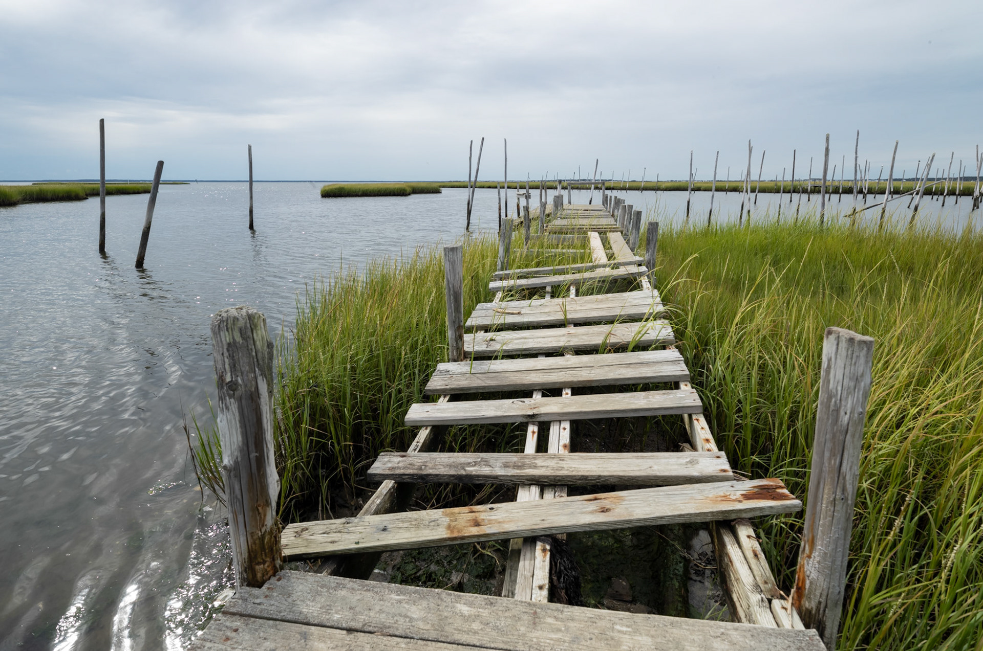 New Jersey salt marsh