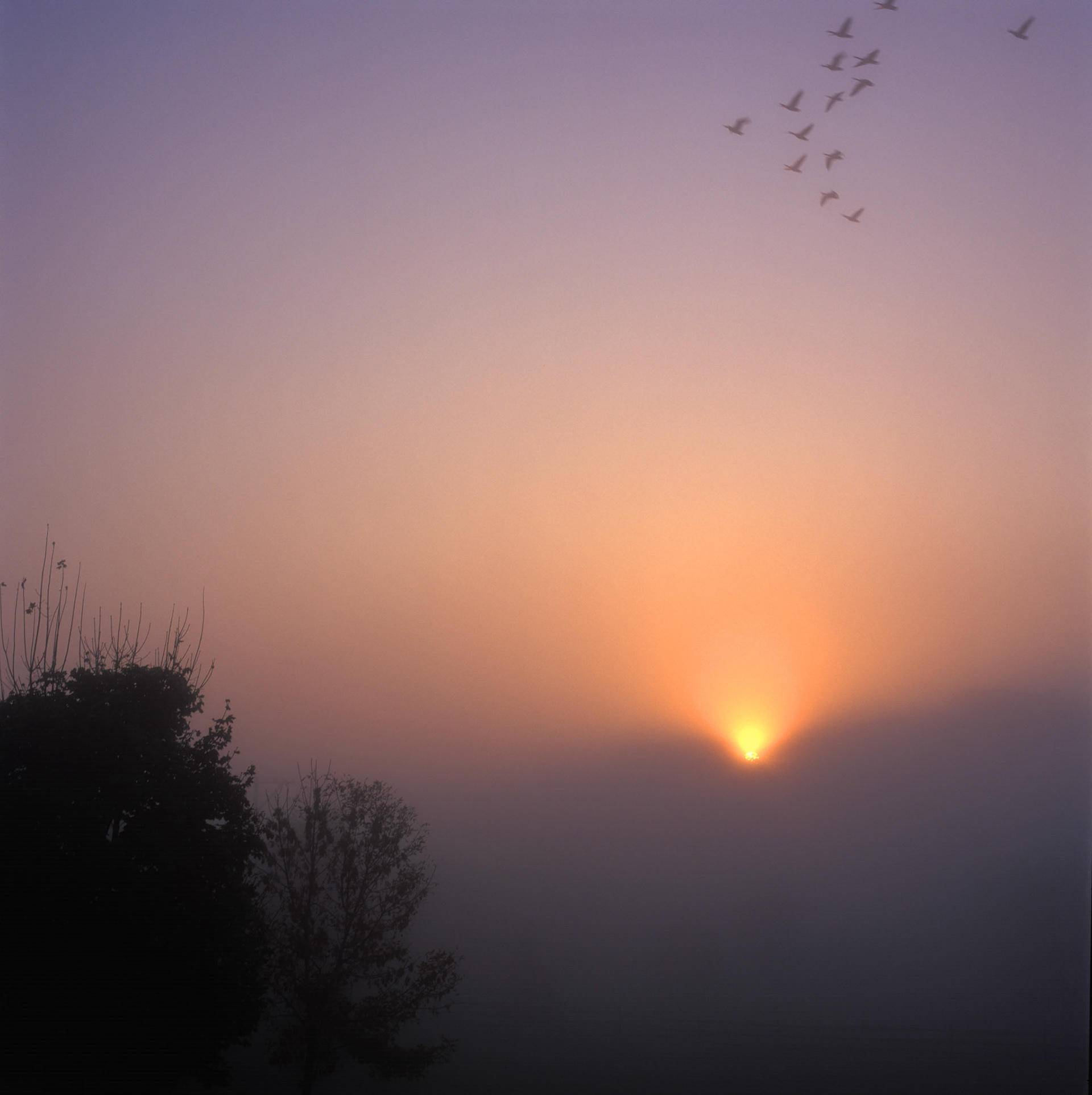 Bucks County morning fog
