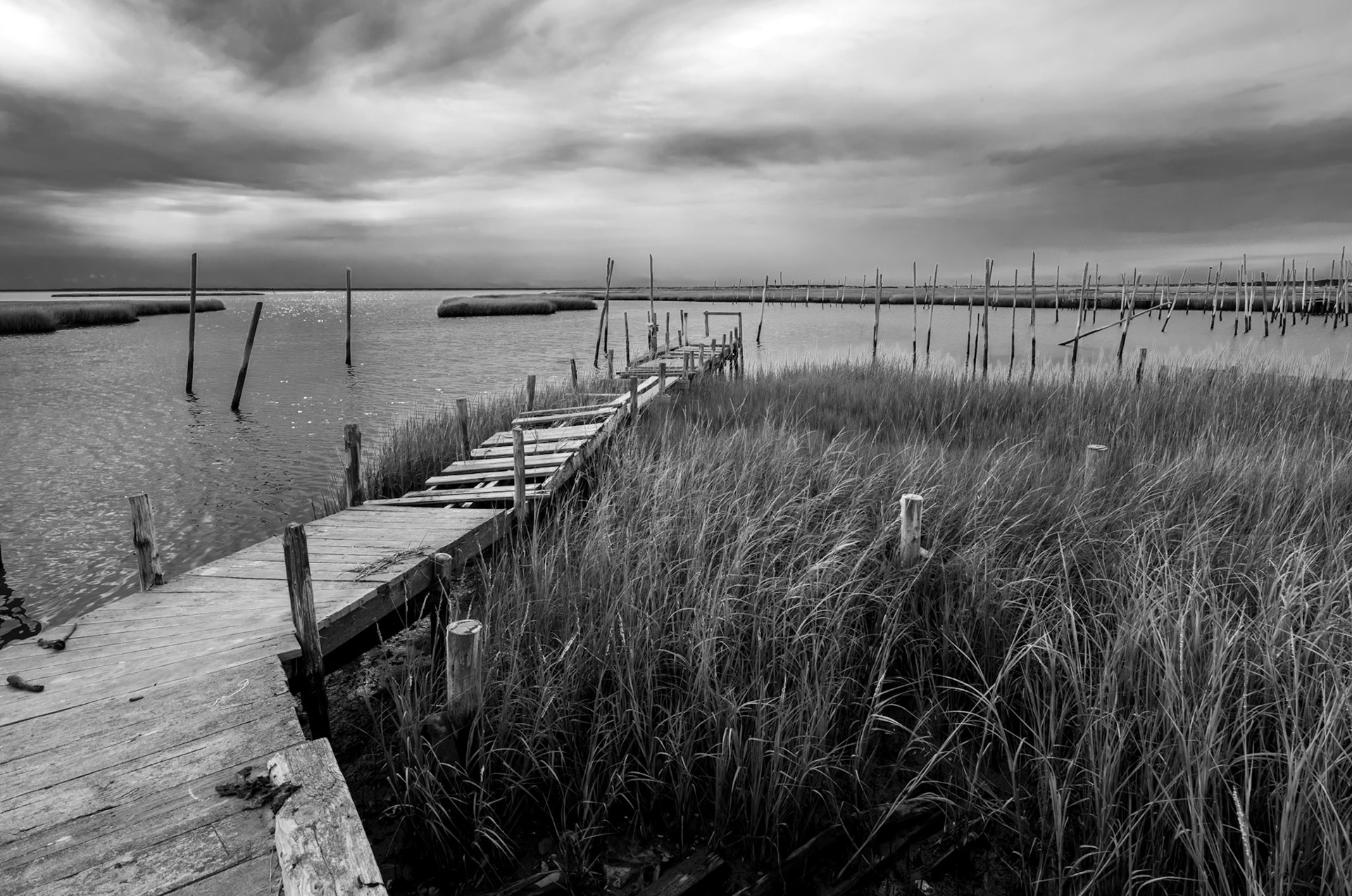 New Jersey salt marsh
