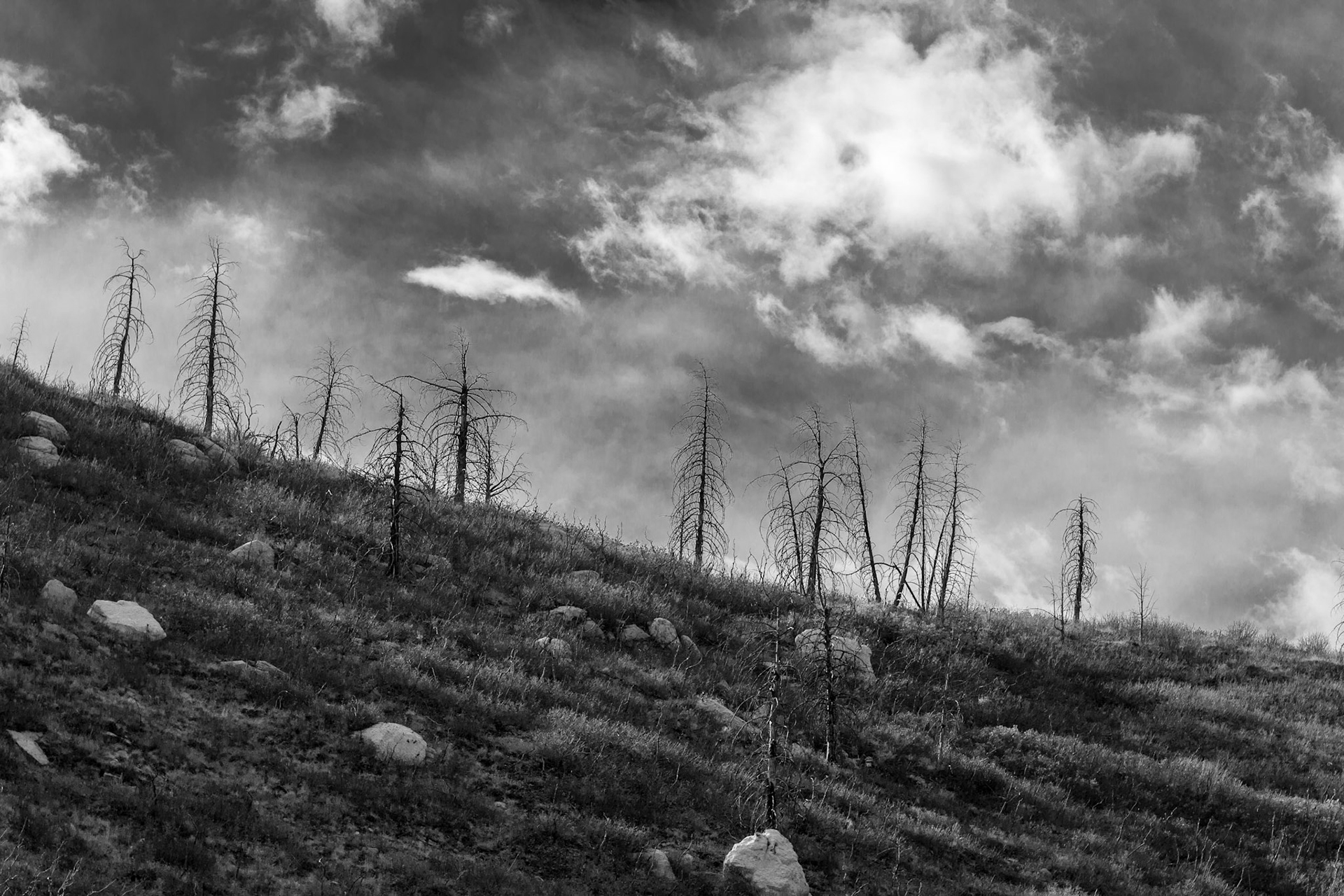 Yellowstone