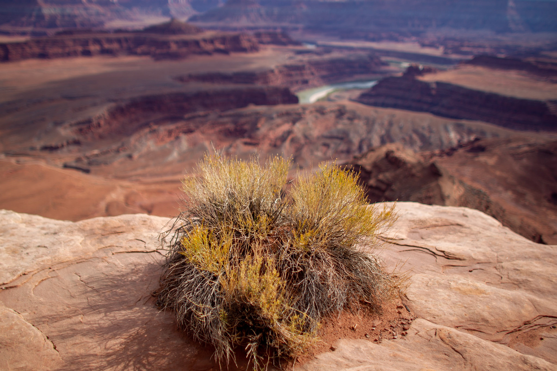 Utah