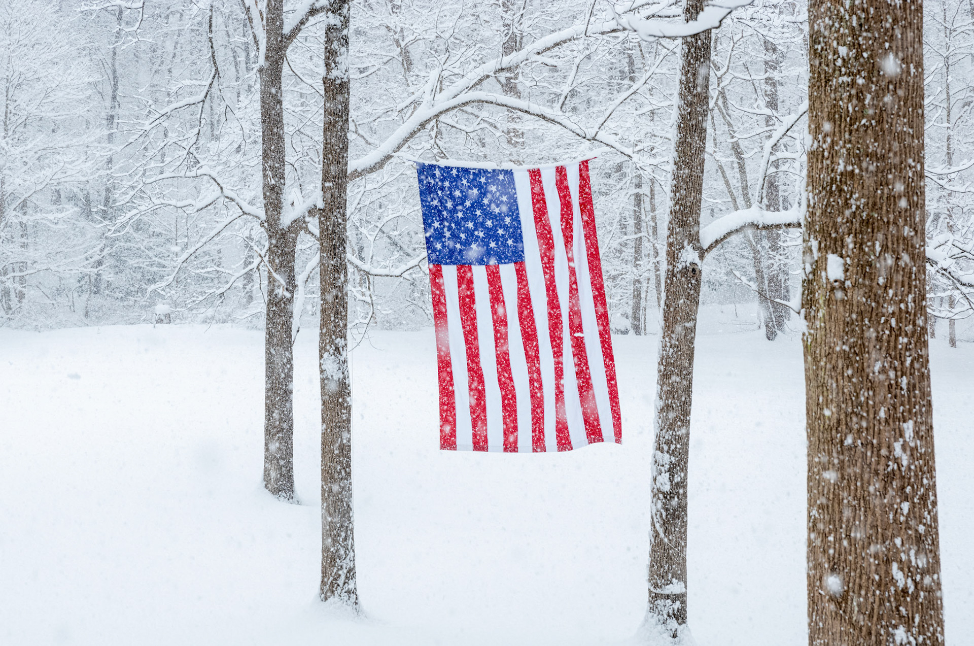 Winter flag