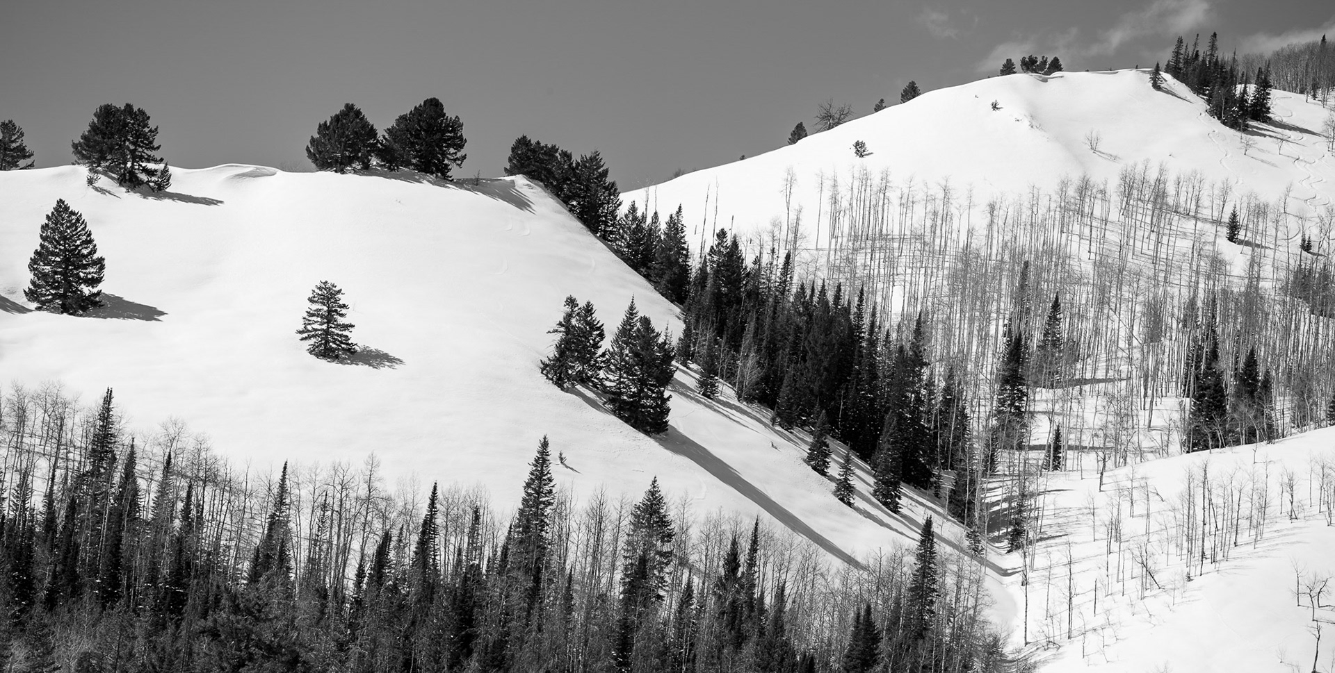 Near Hahn's Peak