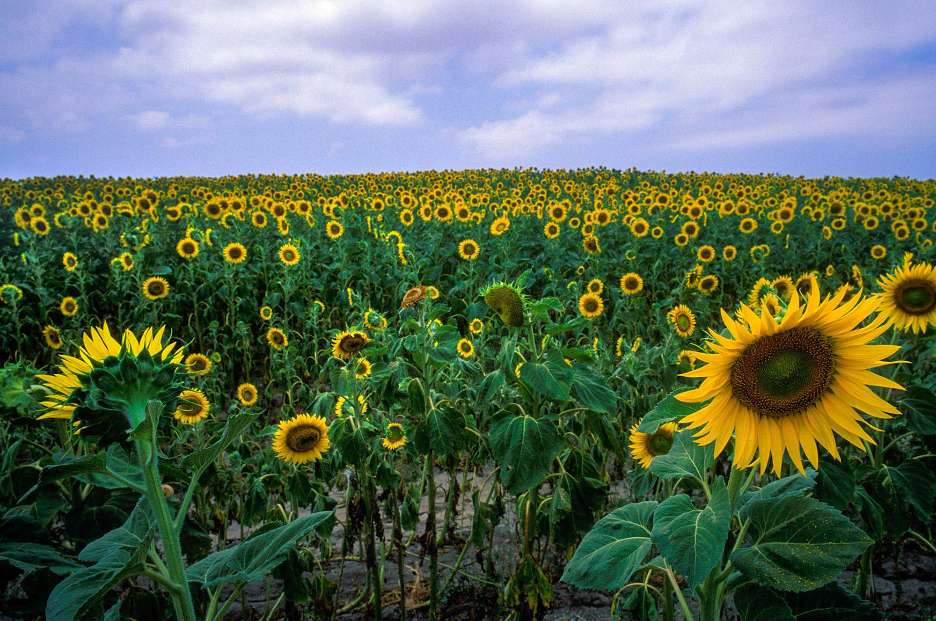 Southern Spain