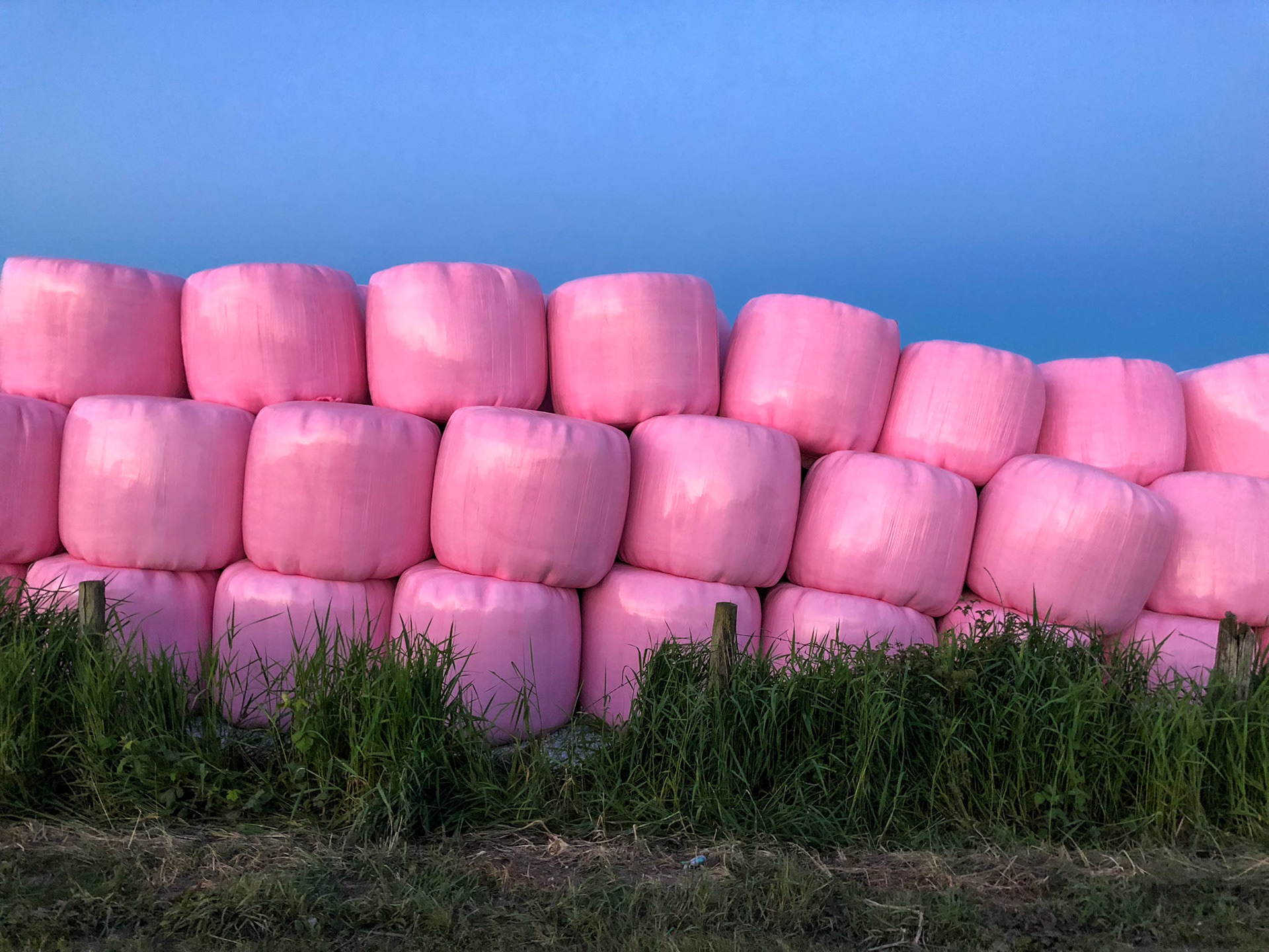 Hay in plastic