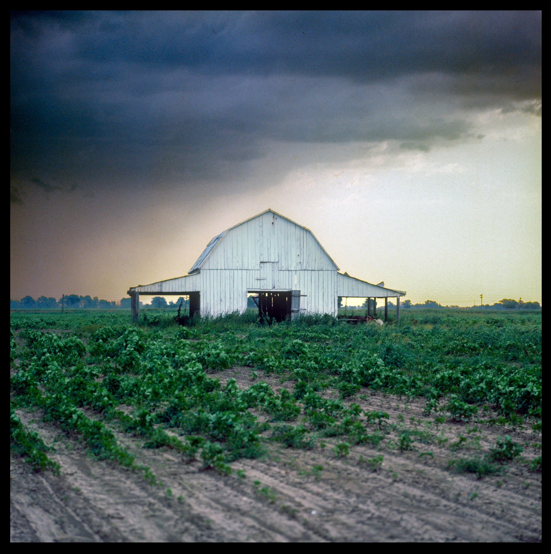 Storm coming