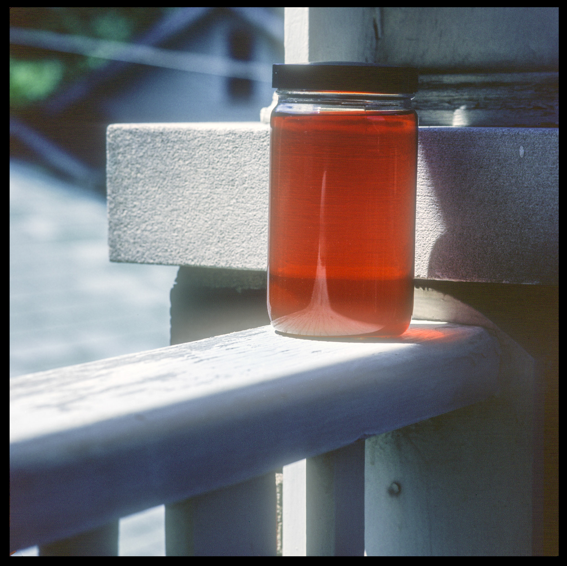 Sun tea
