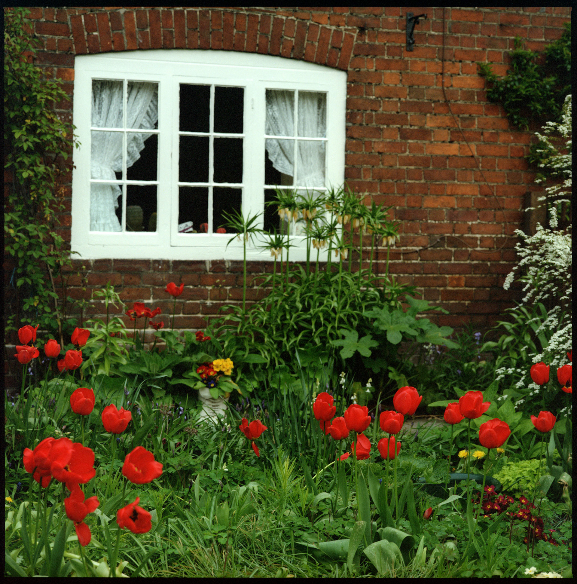 English garden