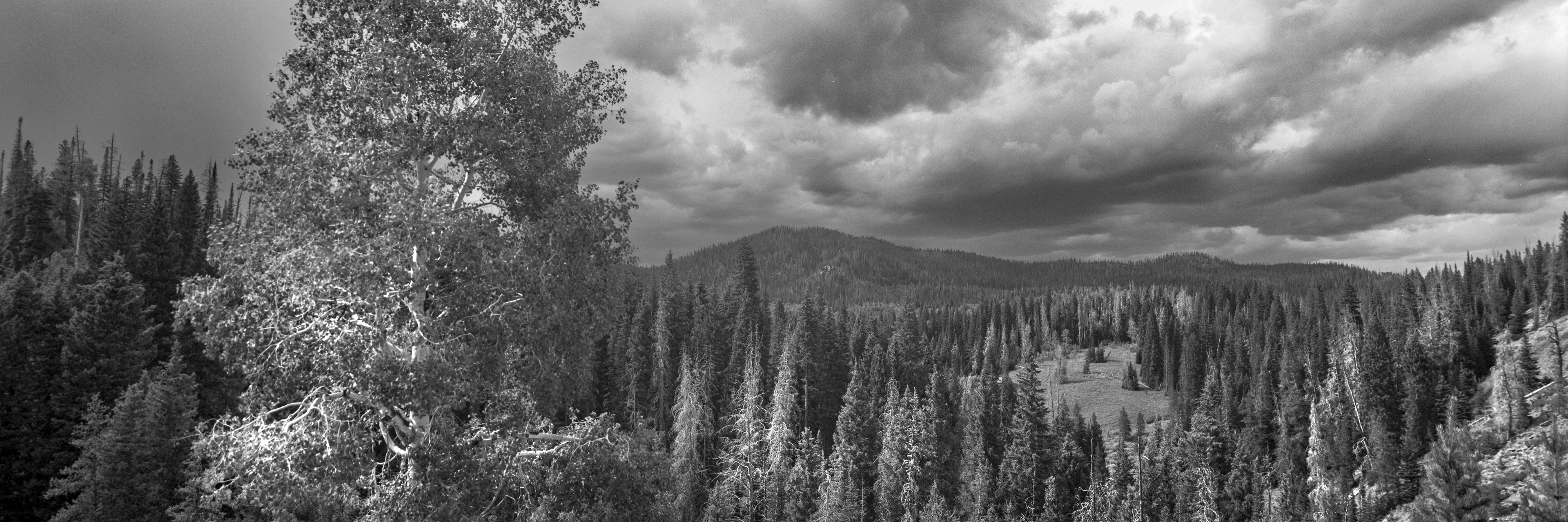 Hahn's Peak, incoming storm