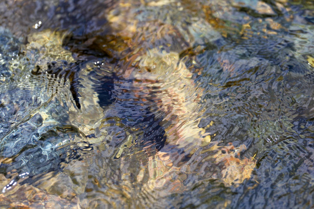 Colorado stream