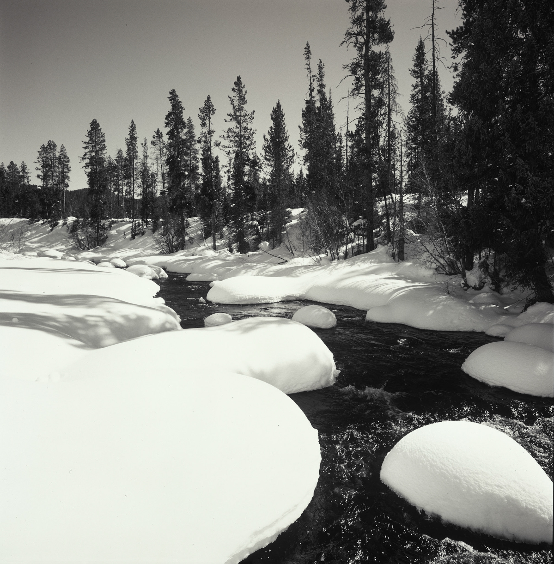 Creek near Clark, Colorado