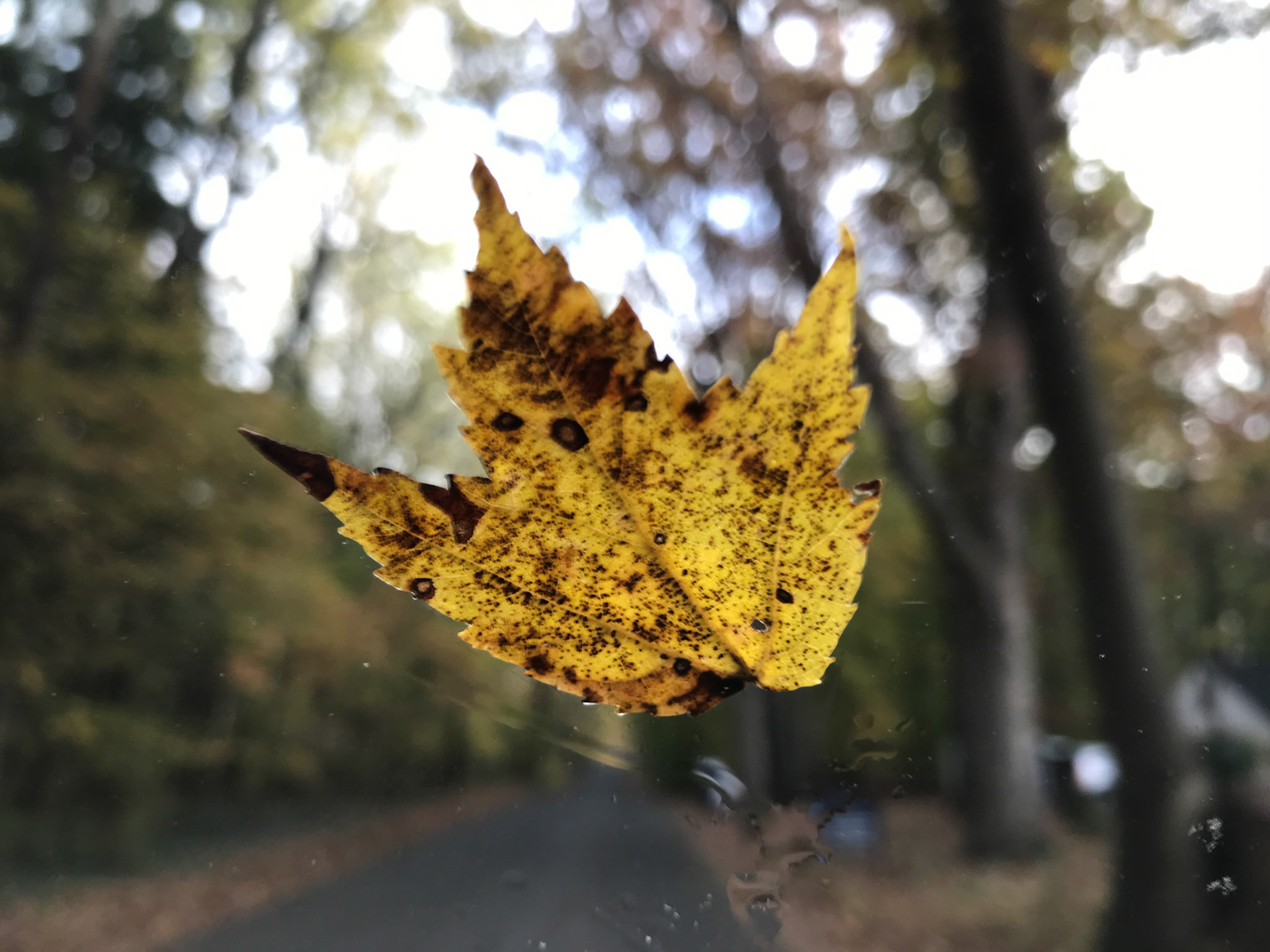 Bucks County, PA