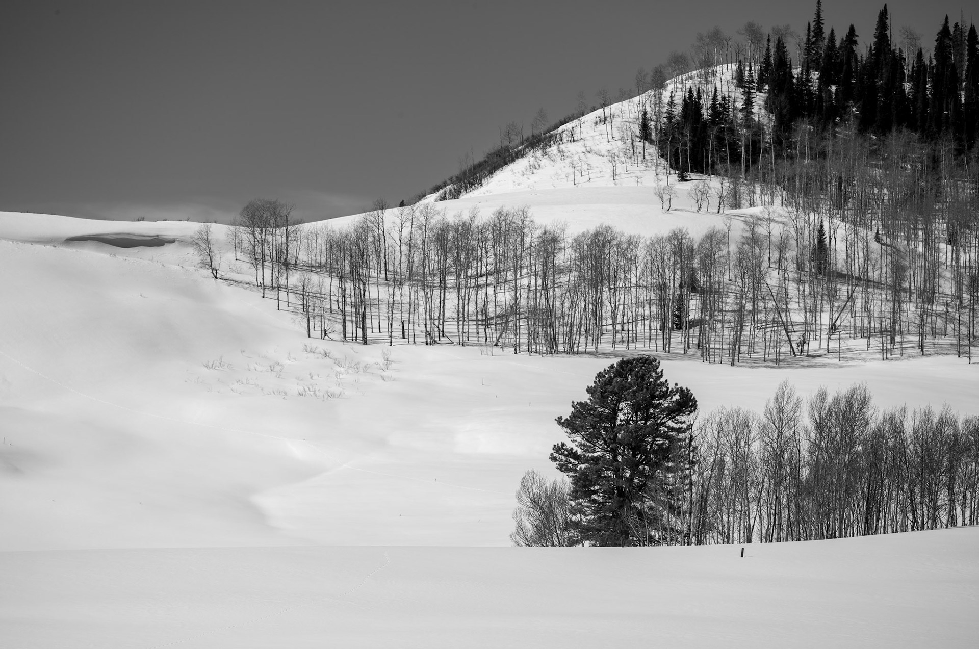 Near Hahn's Peak
