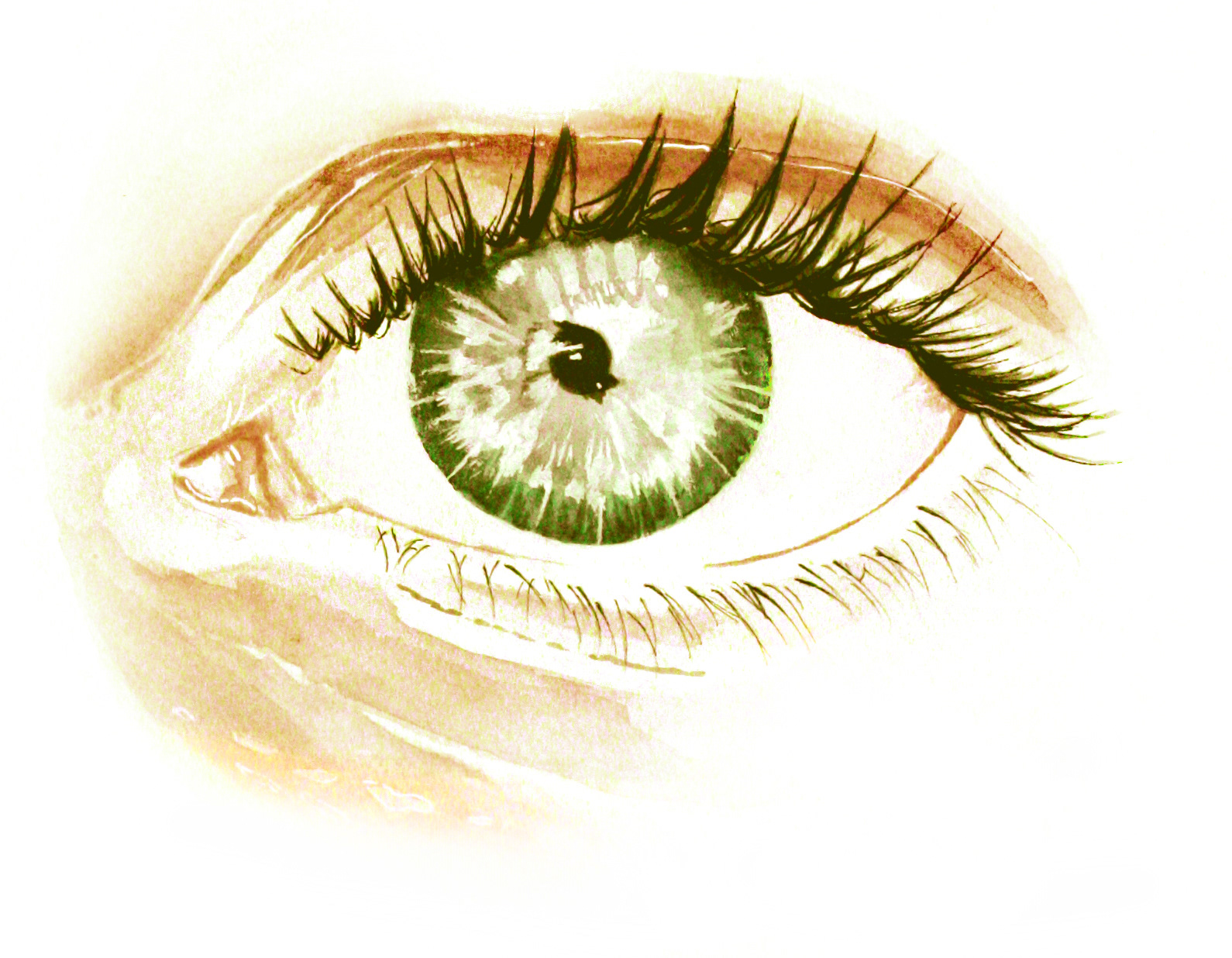 Irisdiagnostik