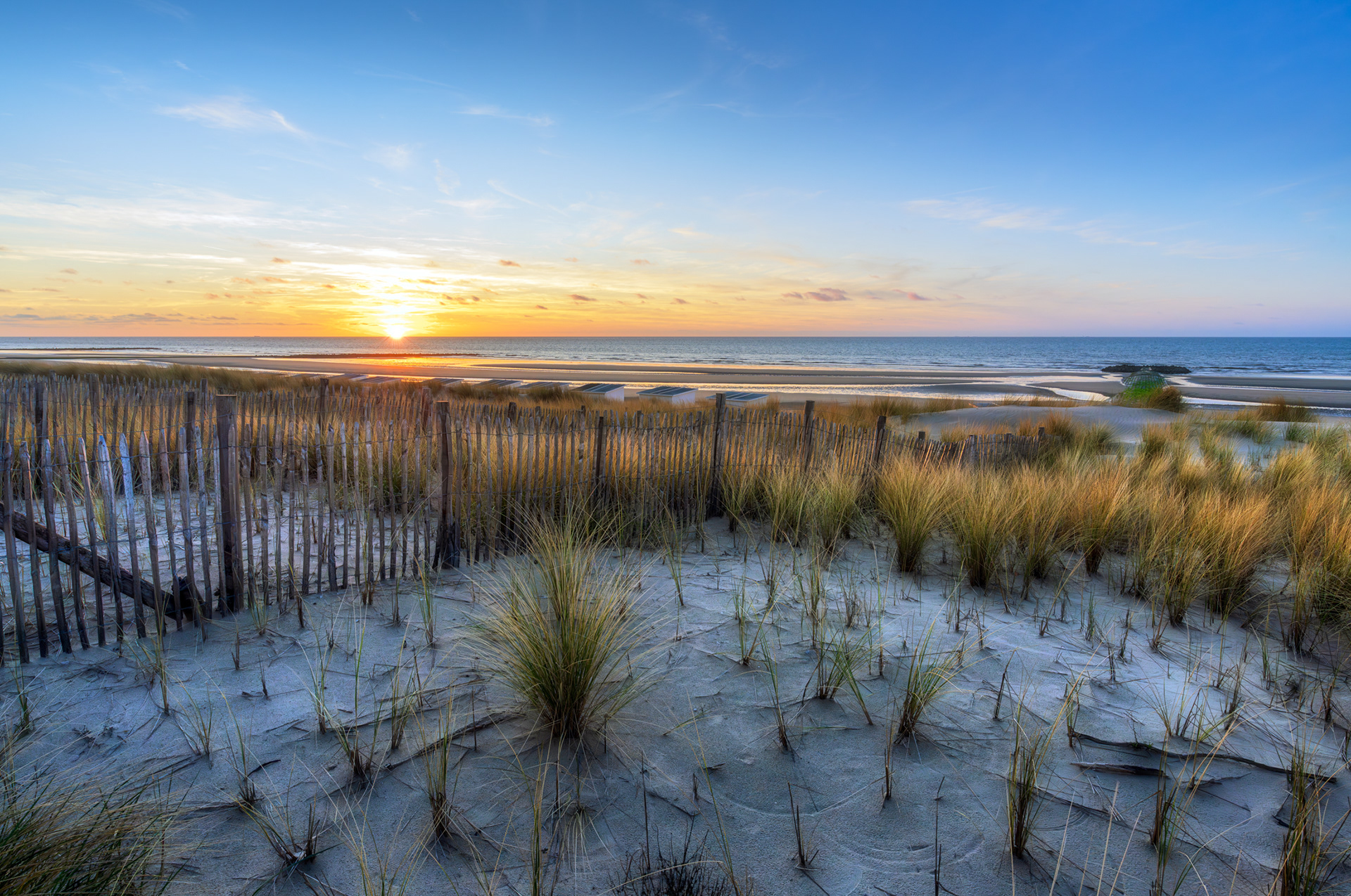 Dune's Embrace, Sunset's Kiss
