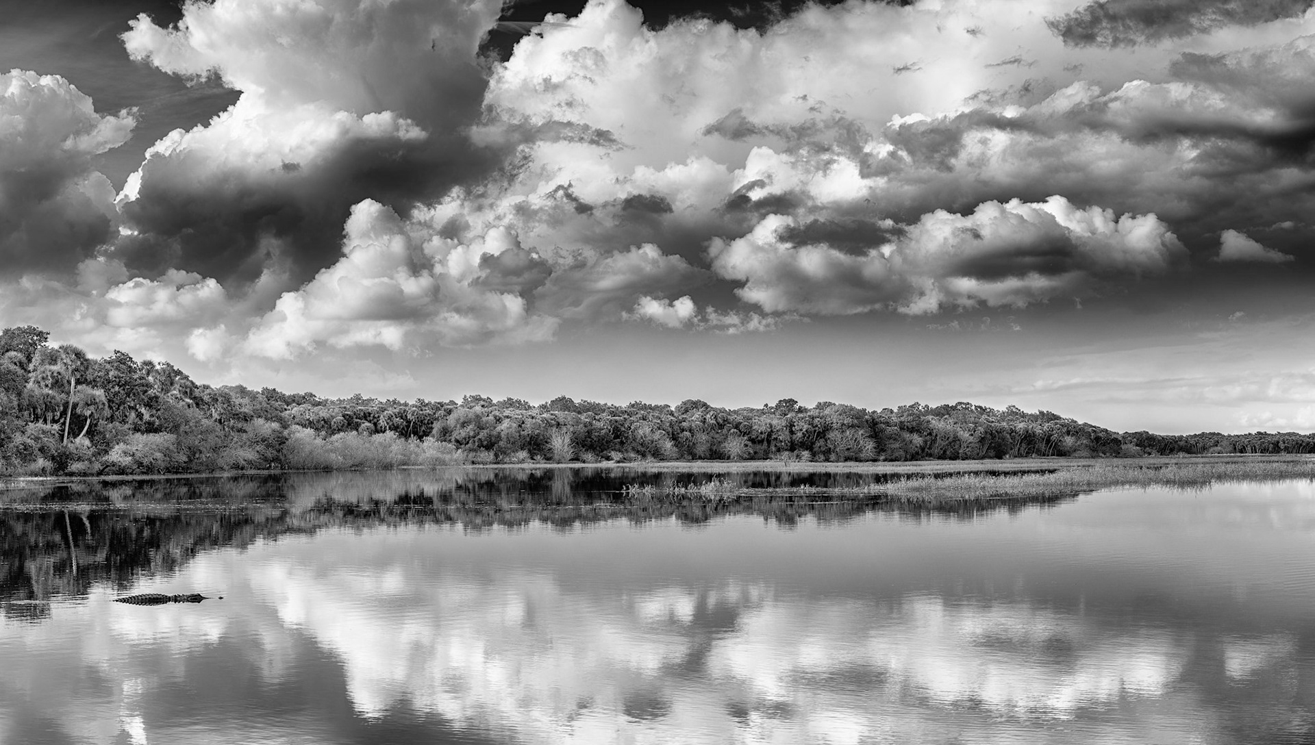 Lake Myakka