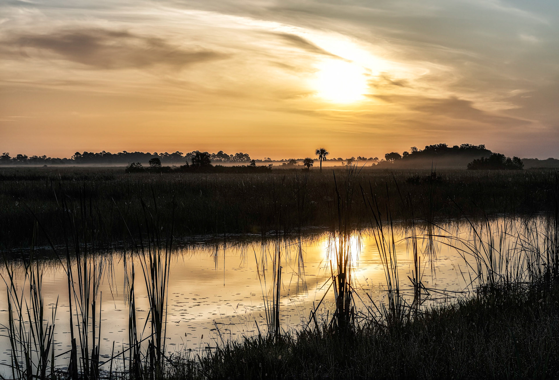 Big Cypress Sunrise